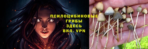 бутират Горнозаводск