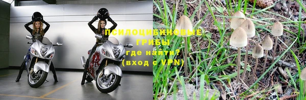 бутират Горнозаводск