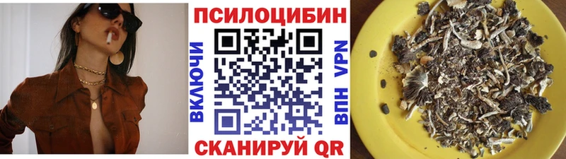 Псилоцибиновые грибы мухоморы  mega ссылки  Балашиха  цены наркотик 